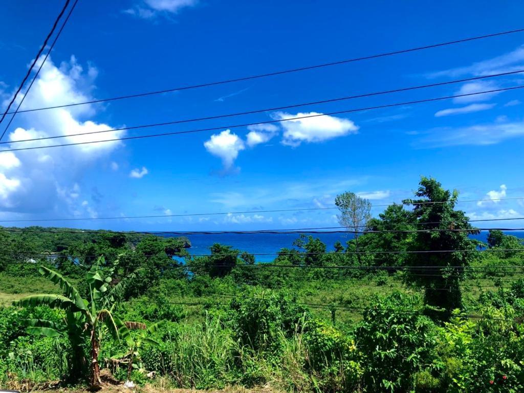 Toga Guest House Port Antonio Exterior foto