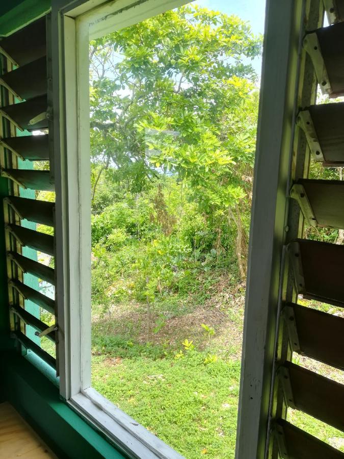 Toga Guest House Port Antonio Exterior foto