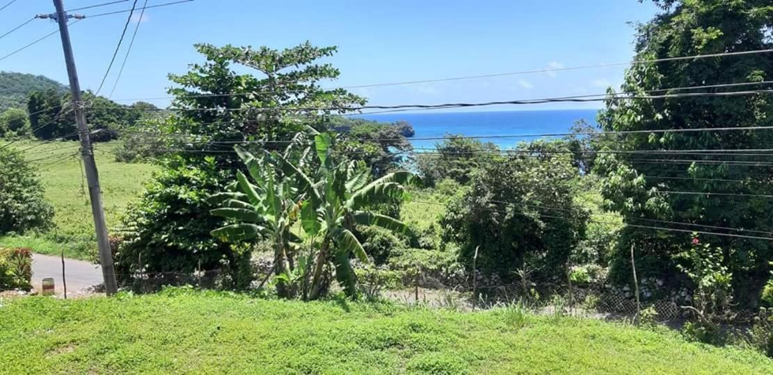 Toga Guest House Port Antonio Exterior foto